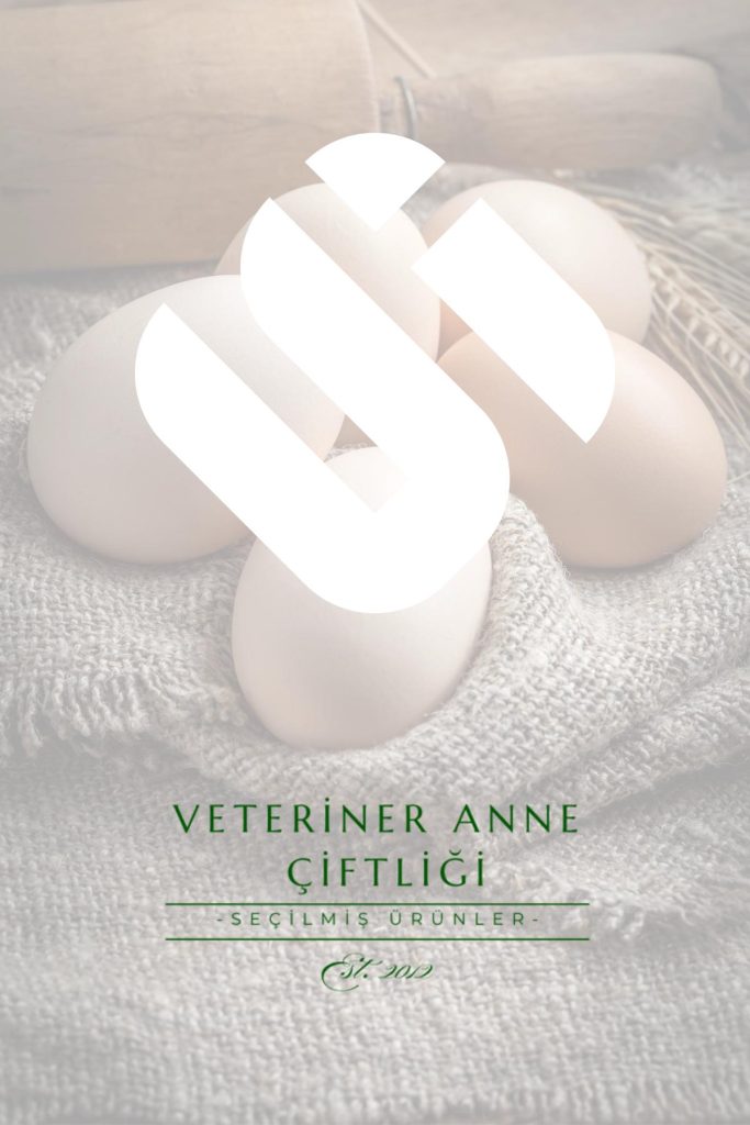 veteriner-anne-seo-basari veteriner-anne-seo-basari